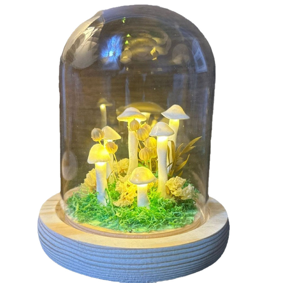 LED Night Light - Soft Ambient Lighting for Bedrooms - gallify.store