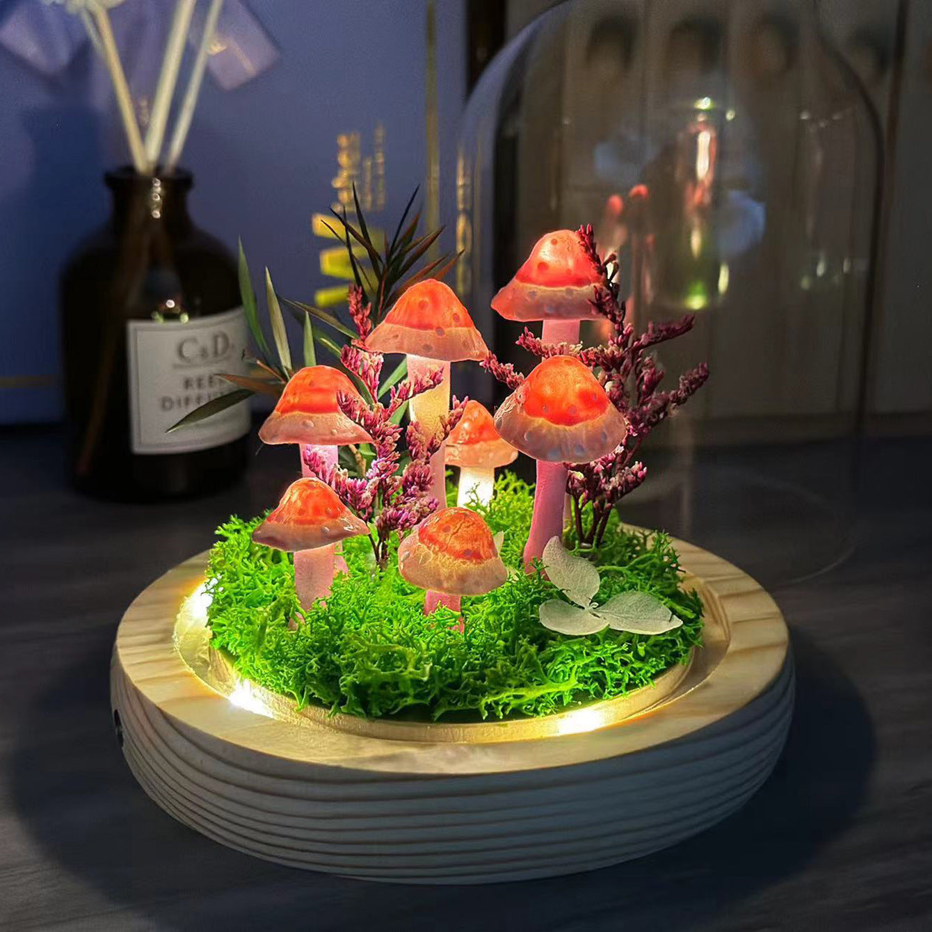 LED Night Light - Soft Ambient Lighting for Bedrooms - gallify.store